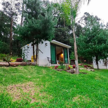 Romanticas Cabanas En Bosque Acaxochitlan Exterior photo