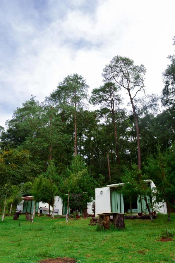 Romanticas Cabanas En Bosque Acaxochitlan Exterior photo